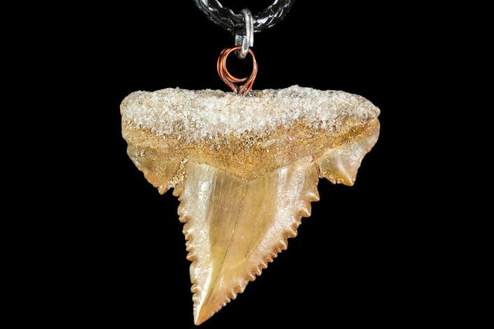 Fossil Shark (Palaeocarcharodon) Tooth Necklace -Morocco #110252